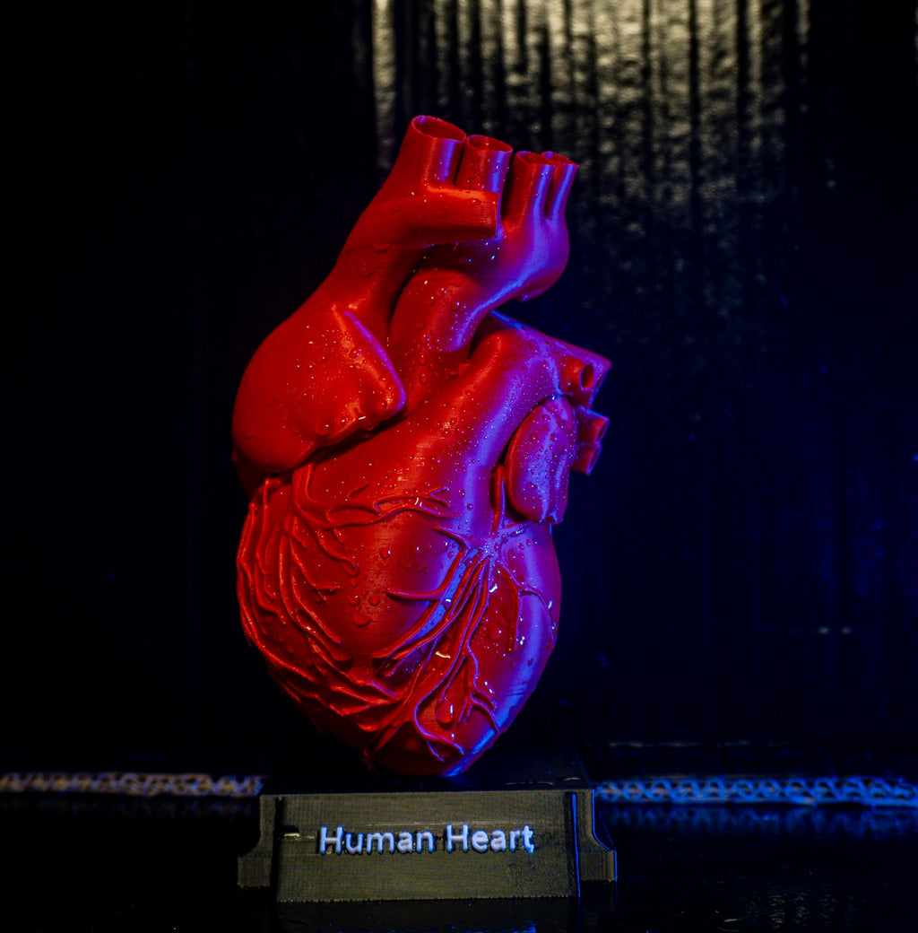 3D-Printing