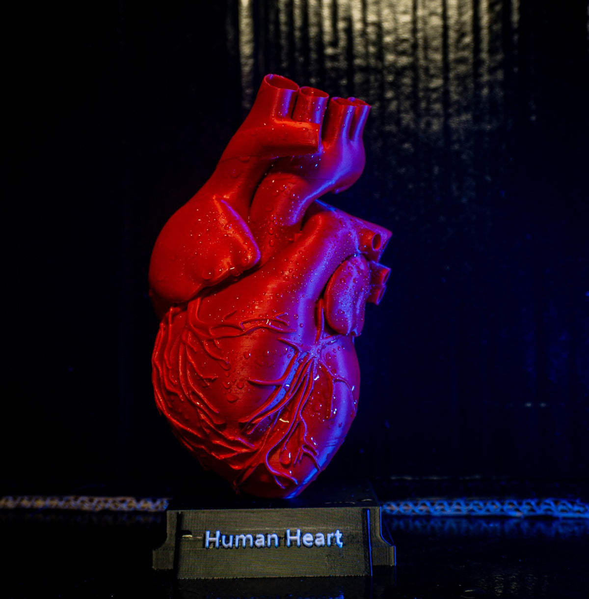 3D-Printing